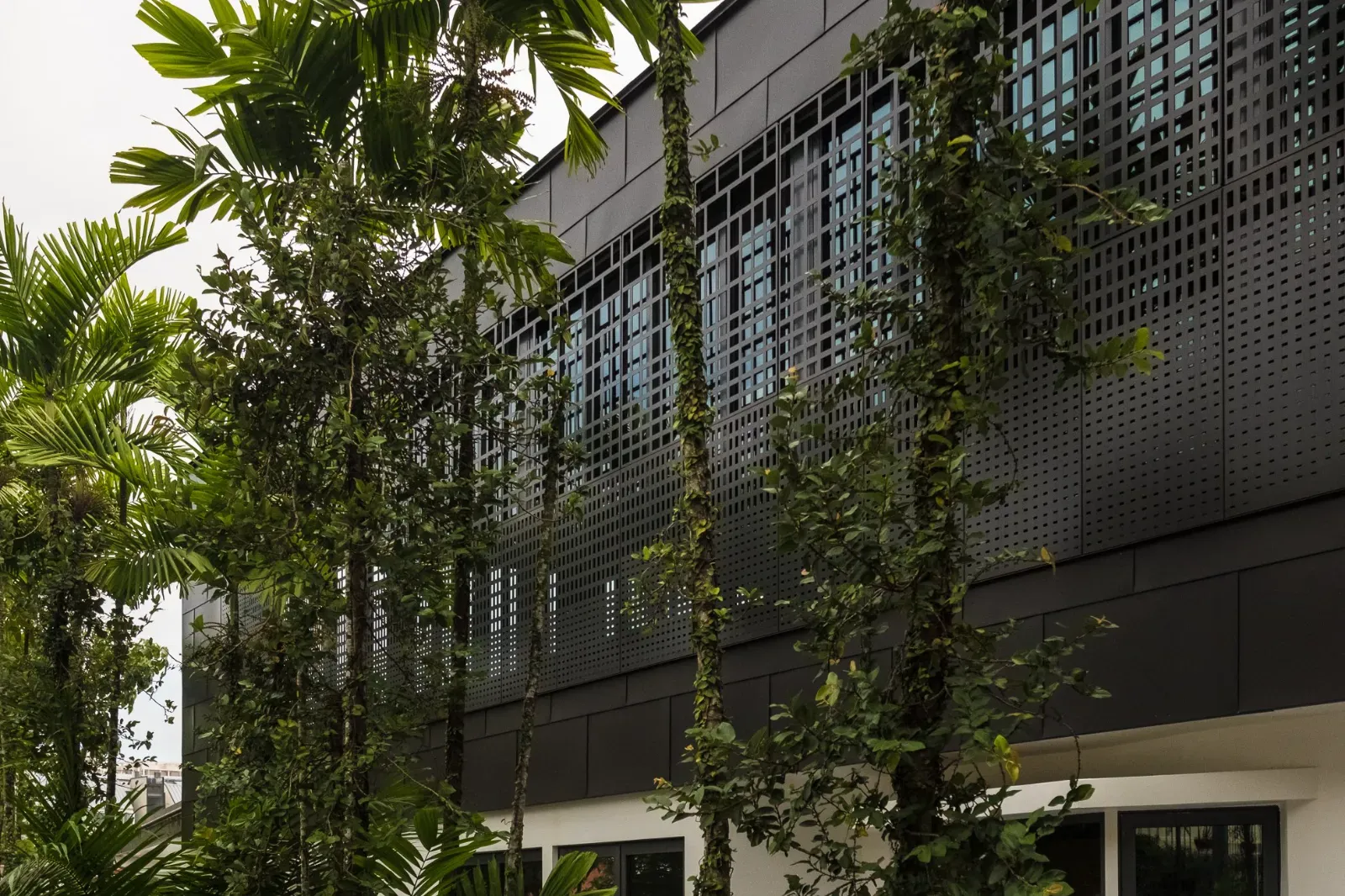 Lumina Atrium - 10